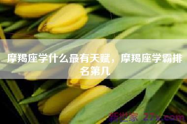 摩羯座学什么最有天赋，摩羯座学霸排名第几