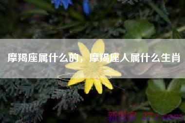 摩羯座属什么的，摩羯座人属什么生肖