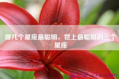 哪几个星座最聪明，世上最聪明的三个星座