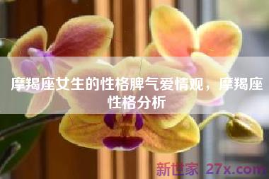 摩羯座女生的性格脾气爱情观，摩羯座性格分析