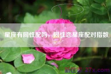 星座有同性配吗，同性恋星座配对指数