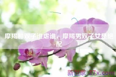 摩羯和双子谁虐谁，摩羯男双子女是绝配