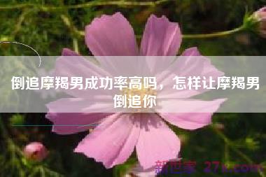 倒追摩羯男成功率高吗，怎样让摩羯男倒追你