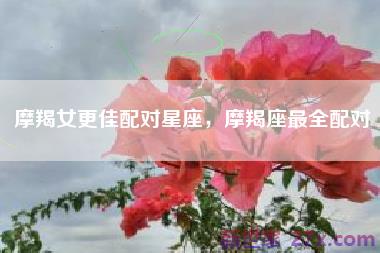 摩羯女更佳配对星座，摩羯座最全配对
