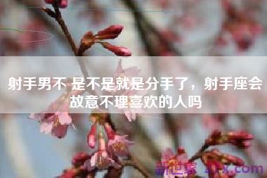 射手男不 是不是就是分手了，射手座会故意不理喜欢的人吗