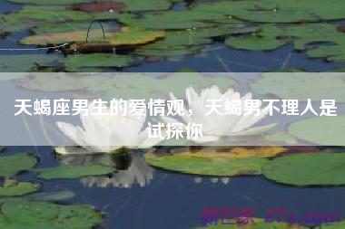 天蝎座男生的爱情观，天蝎男不理人是试探你