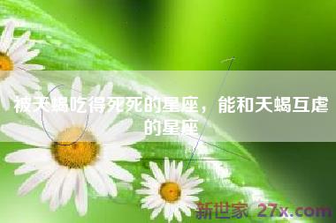 被天蝎吃得死死的星座，能和天蝎互虐的星座