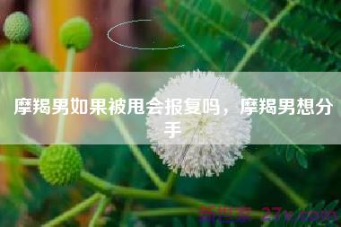 摩羯男如果被甩会报复吗，摩羯男想分手
