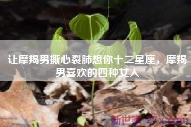 让摩羯男撕心裂肺想你十二星座，摩羯男喜欢的四种女人