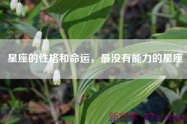 星座的性格和命运，最没有能力的星座