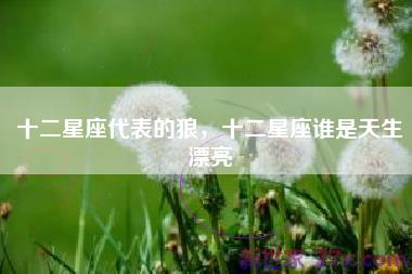 十二星座代表的狼，十二星座谁是天生漂亮