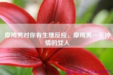 摩羯男对你有生理反应，摩羯男一见钟情的女人