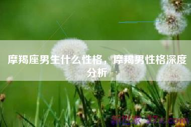 摩羯座男生什么性格，摩羯男性格深度分析
