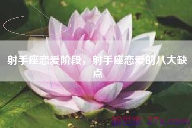 射手座恋爱阶段，射手座恋爱的八大缺点