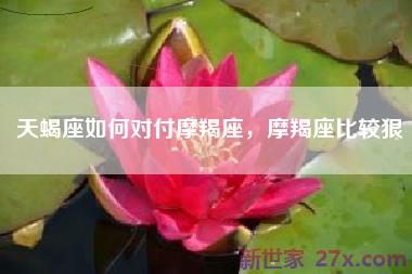 天蝎座如何对付摩羯座，摩羯座比较狠
