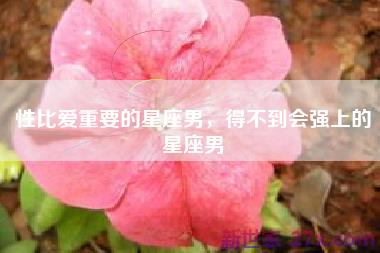 性比爱重要的星座男，得不到会强上的星座男