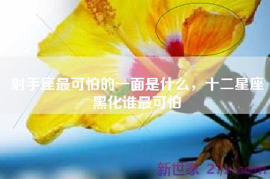 射手座最可怕的一面是什么，十二星座黑化谁最可怕