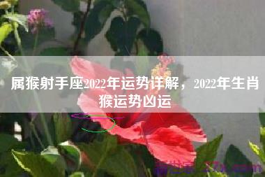 属猴射手座2022年运势详解，2022年生肖猴运势凶运