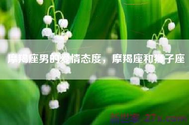 摩羯座男的爱情态度，摩羯座和狮子座