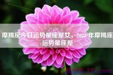 摩羯座今日运势星座屋女，2022 年摩羯座运势星座屋