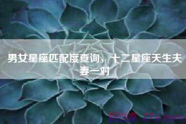 男女星座匹配度查询，十二星座天生夫妻一对