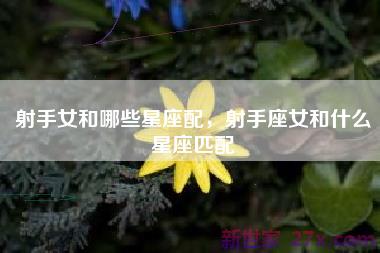 射手女和哪些星座配，射手座女和什么星座匹配