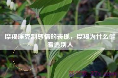 摩羯座克制感情的表现，摩羯为什么能看透别人