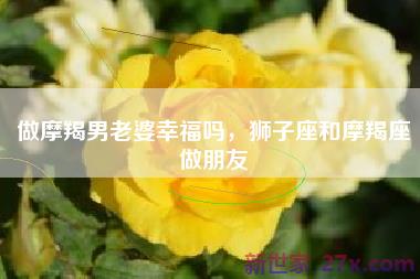 做摩羯男老婆幸福吗，狮子座和摩羯座做朋友