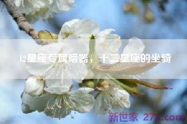 12星座专属暗器，十二星座的坐骑