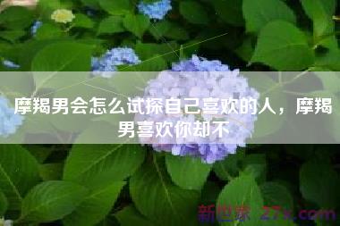摩羯男会怎么试探自己喜欢的人，摩羯男喜欢你却不
