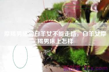 摩羯男插的白羊女不能走路，白羊女摩羯男床上怎样