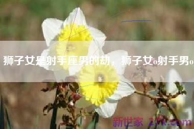 狮子女是射手座男的劫，狮子女o射手男o
