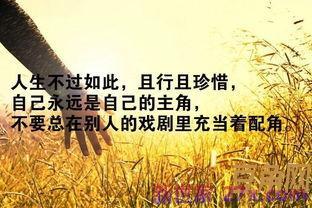 表达自己没能力的句子