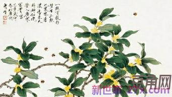 形容九里香花香的词句 写千里香花唯美的句子有哪些