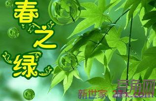 表达绿色的句子 表示绿色的句子