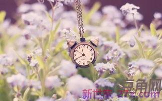 洁净家园的好词句