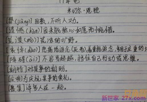 词句段运用写一段话