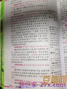 描述神圣的词句 形容神圣的词语有哪些