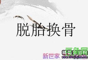 比喻没有思想的成语或词句