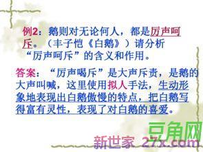 词句作用ppt