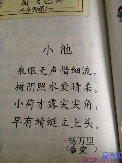 描写清水湾阿罗哈的词句 描写2019双月湾的优美词句