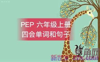 五上英语四会单词句子