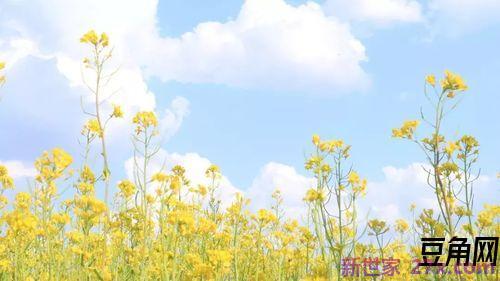 田园生活优美词句 描写乡村生活优美的句子
