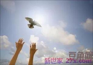 表达祝愿未来的句子 表达有美好祝愿未来美好憧憬的诗句或成语