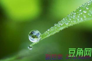 关于描写夏风与绿意的诗词句 描写夏风的诗句和古诗有哪些