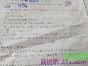 医生赞美词句 赞美医生最好的句子有哪些