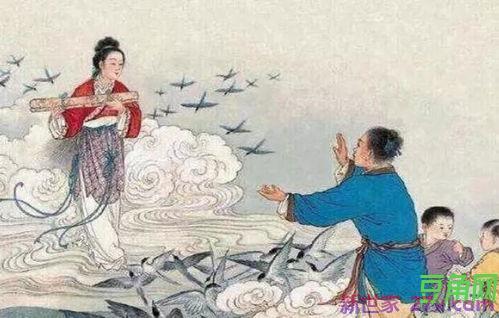 诗经表达爱意词句