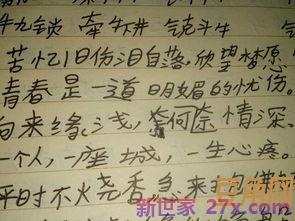 梅花魂的优美词句 梅花魂的词语