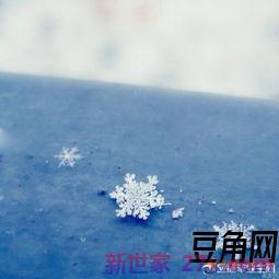 描写雪花的优美句子词句 请说出描写雪花的优美语句