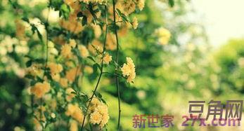 描写春天美景的词句子